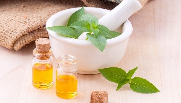 Эфирное масло базилика: свойства и применение