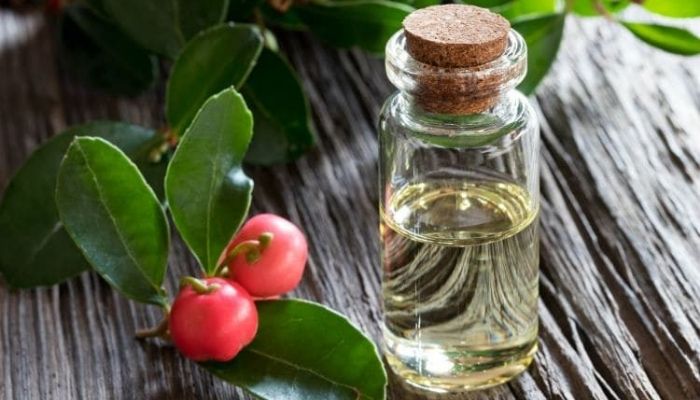 Эфирное масло грушанки: свойства и применение