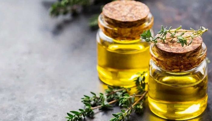 Эфирное масло тимьяна: свойства и применение