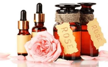 Эфирное масло дамасской розы: свойства и применение