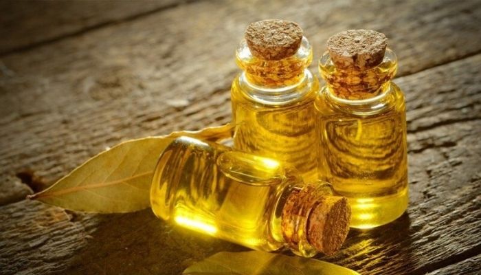 Эфирное масло лавра: свойства и применение