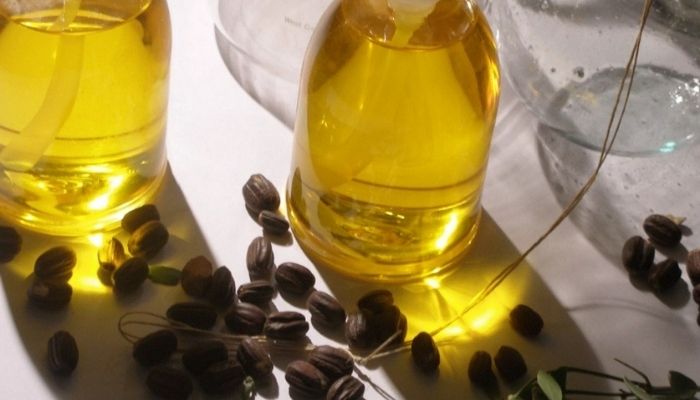 Эфирное масло жожоба: свойства и применение