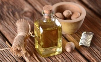 Эфирное масло мускатного ореха: свойства и применение