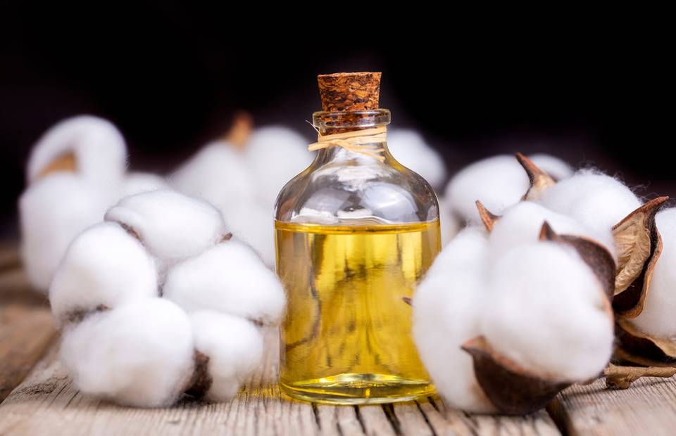 хлопковое масло