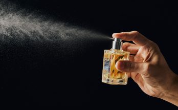 Как сделать освежитель воздуха из эфирных масел