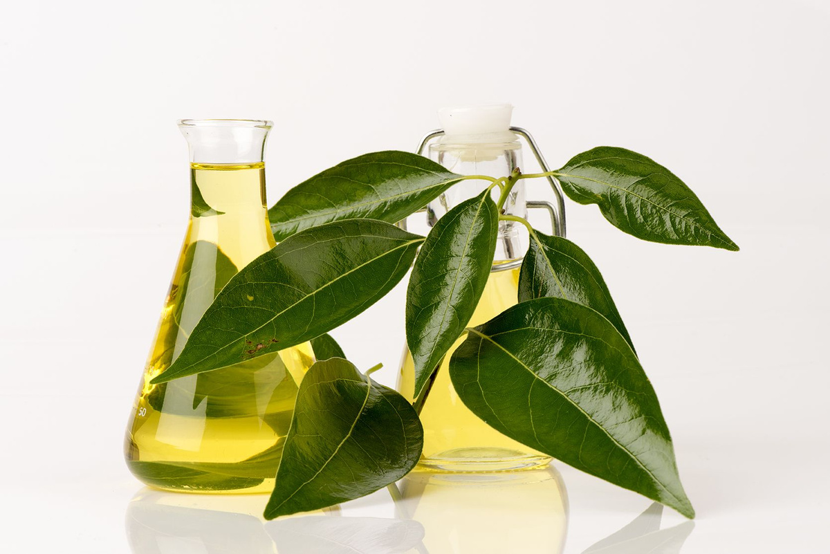 камфорное масло