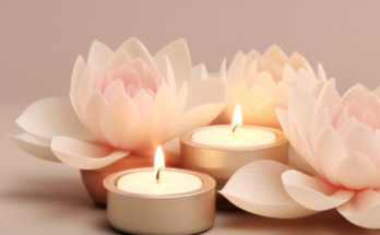 Эфирные масла для создания чувственной атмосферы