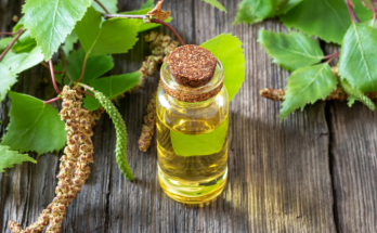 масло березы