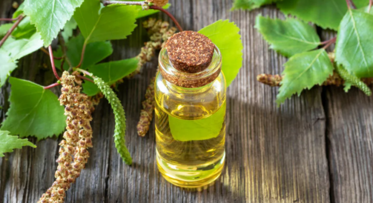 масло березы