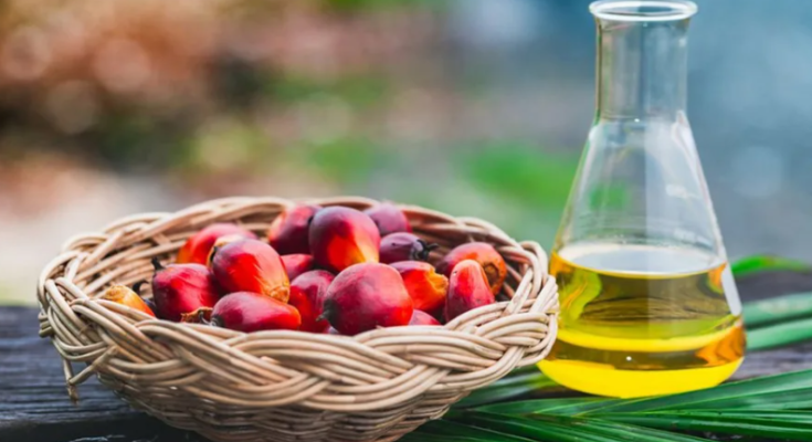 пальмовое масло