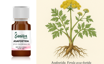 Масло асафетиды
