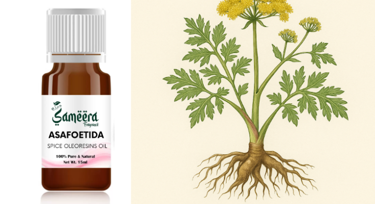 Масло асафетиды