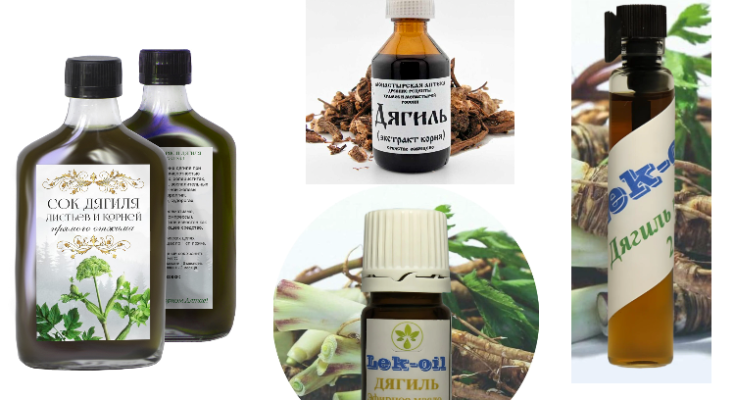 Масло корня дягиля