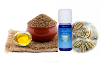 Эфирное масло ажгона