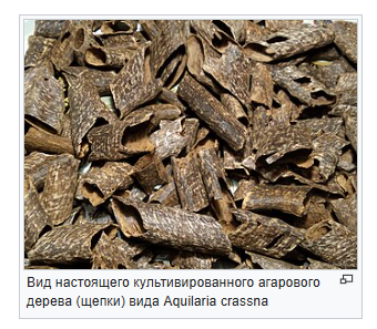 Агаровое масло