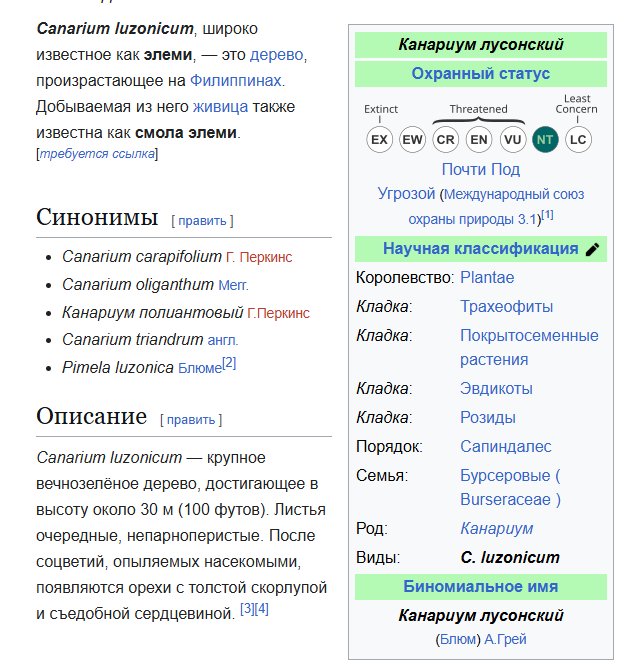 масло элеми