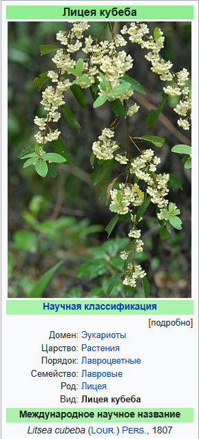 Масло кубебы