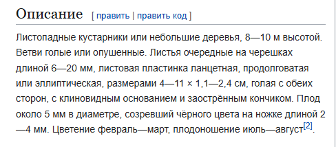 Масло кубебы