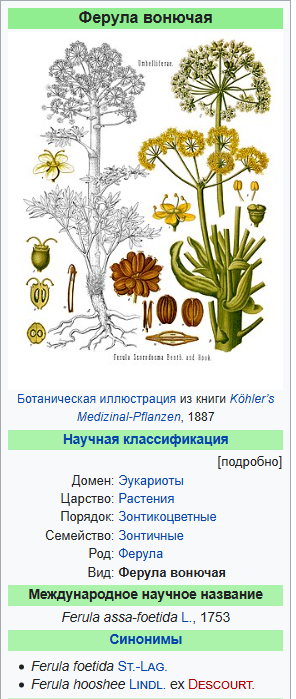 Масло асафетиды