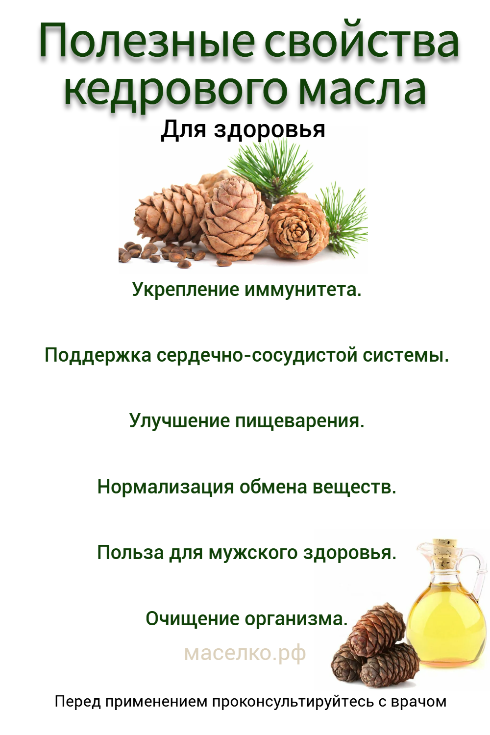 Полезные свойства кедрового масла